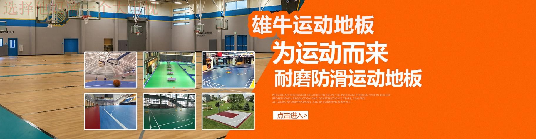 安博体育最新网站：全新体验指南